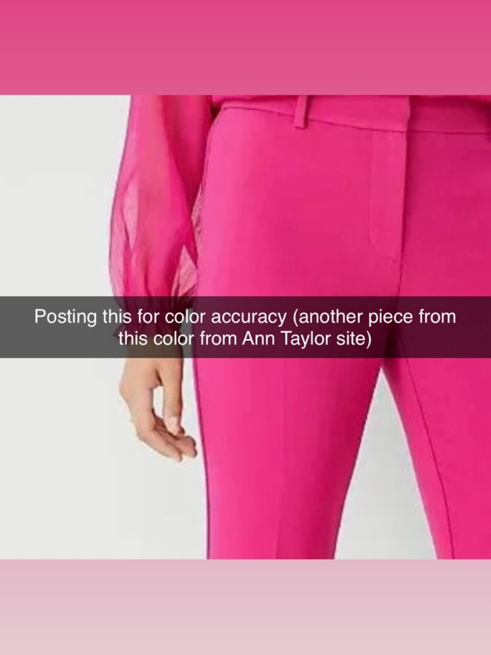 Ann Taylor Hot Pink Trouser Pants - Picture 4 of 4
